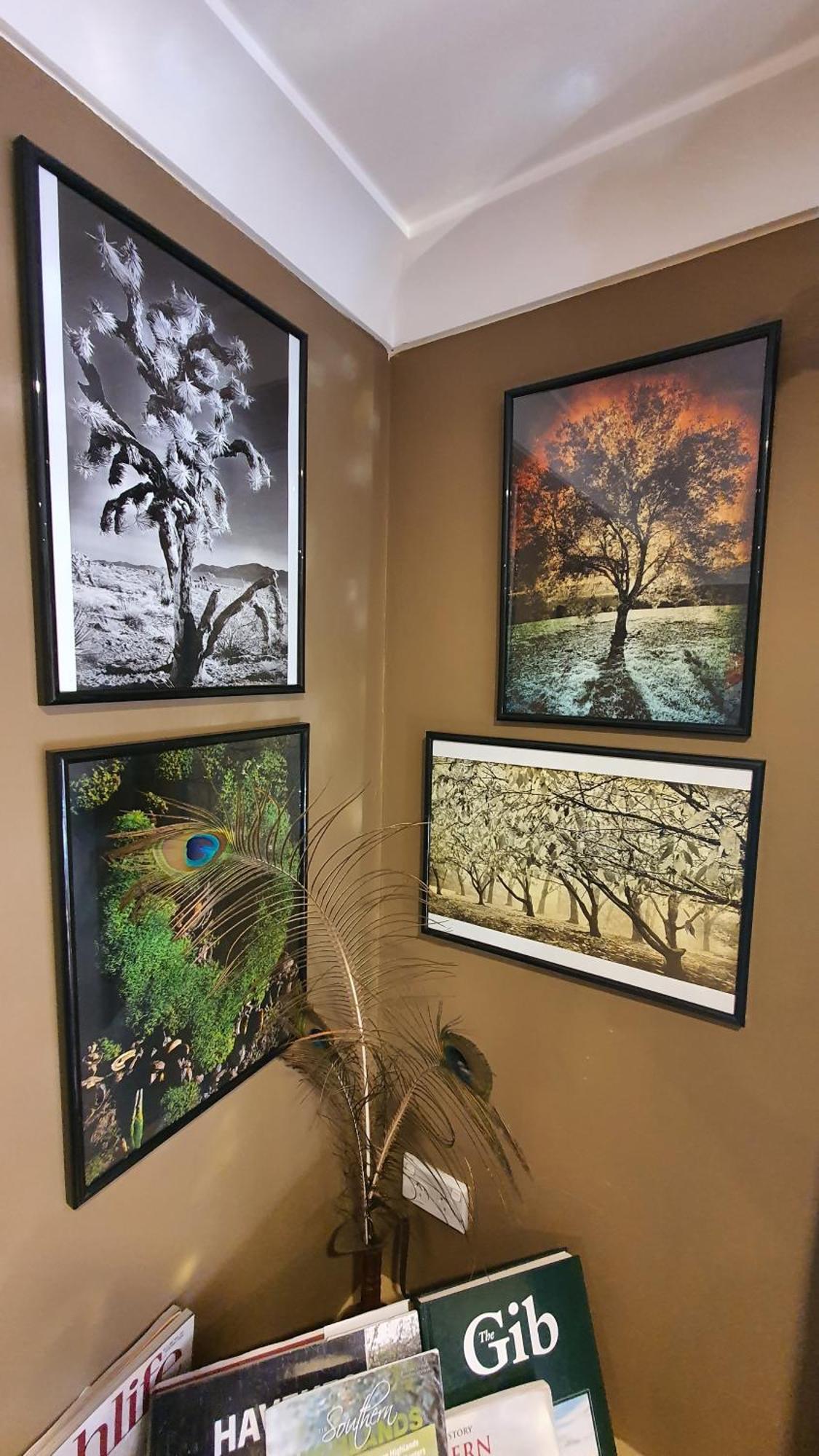 Bowral Road Art Gallery Bed And Breakfast Mittagong Exterior photo